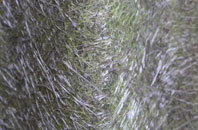 Wychbold fibreglass roof work